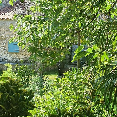 Villa Kazun With Private Pool And Two Gardens Marčana 외부 사진