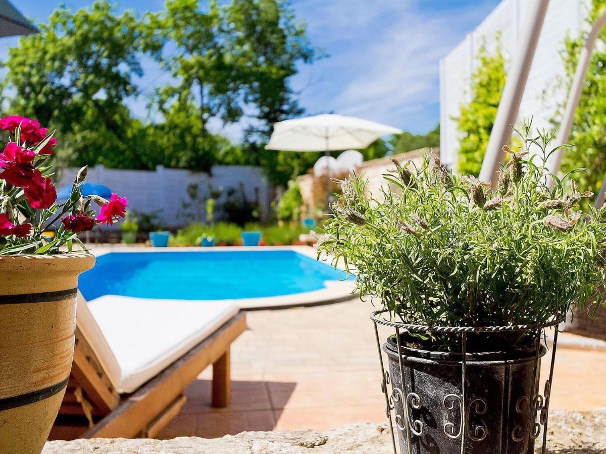Villa Kazun With Private Pool And Two Gardens Marčana 외부 사진