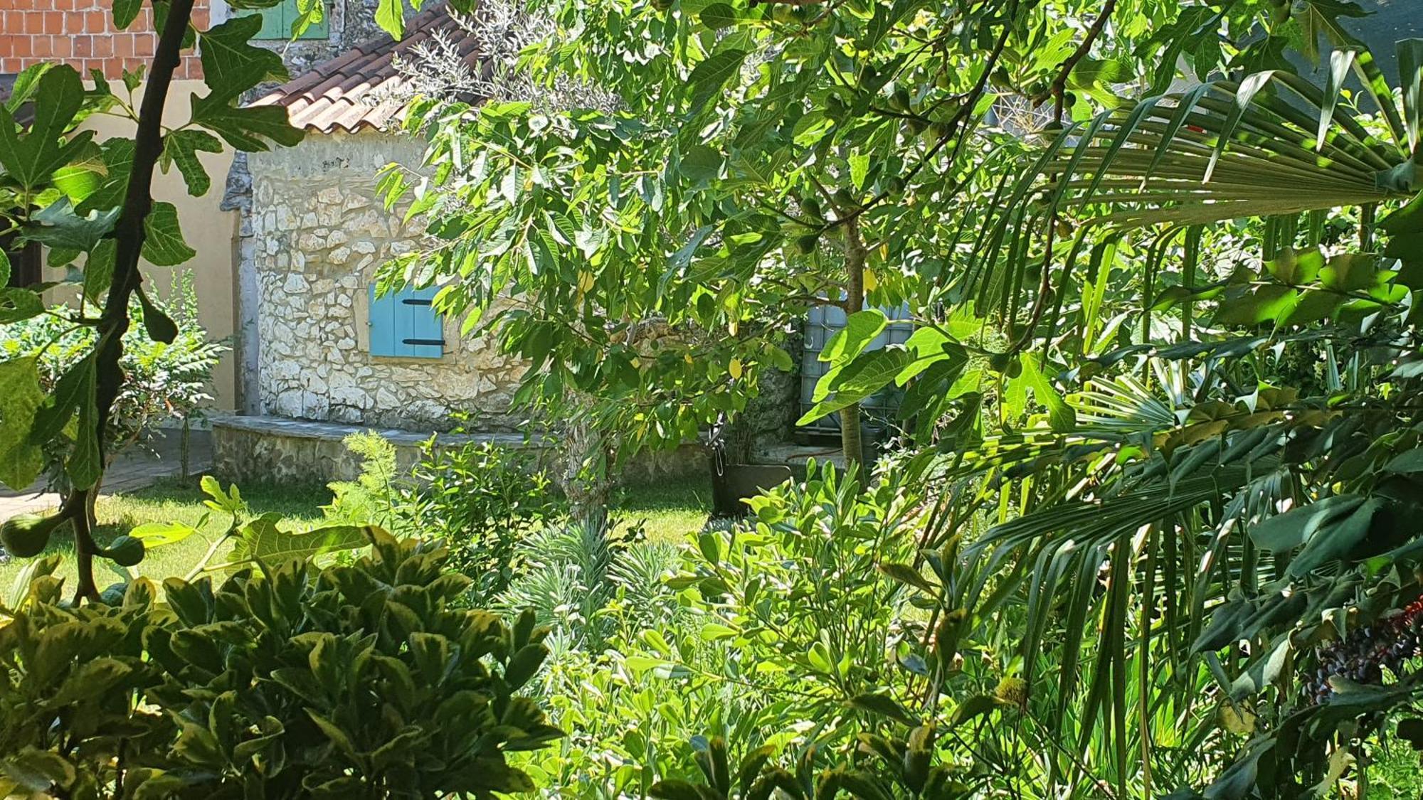 Villa Kazun With Private Pool And Two Gardens Marčana 외부 사진